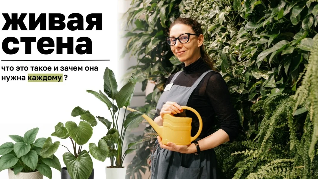 Живая стена что это такое и почему она нужна каждому